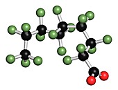 Perfluorononanoic acid,illustration