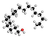 Stearyl alcohol molecule,illustration
