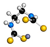 Zineb fungicide molecule,illustration