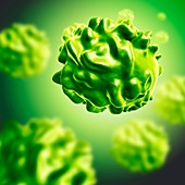 Smallpox virus particle,illustration