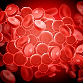 Red blood cells,illustration