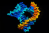 Molecular graphic of ribosome bound to RNA