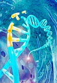 Cellular DNA mutation