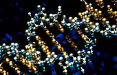 Model of the DNA molecule & anticancer protein p53