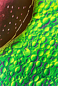 Coloured SEM of a cell nucleus