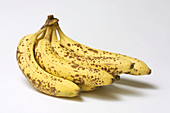 Bananas (day 8)