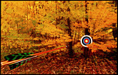 Arrow approaching a target in a wood