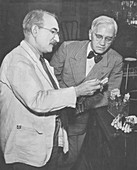 Dr. Waksman and Sir Fleming