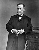 Louis Pasteur