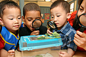 Children Explore Nature in Day Care