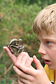 Boy Looking at a Moth