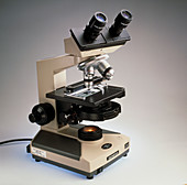 Binocular light microscope