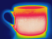 Thermogram of a hot coffee cup