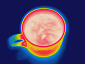 Thermogram of convection curents in coffee