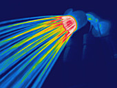 Thermogram of a shower head