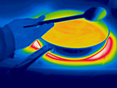 A thermogram of spoon and a pan of food
