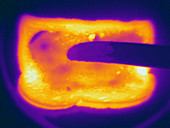 Thermogram of a Hot Toast