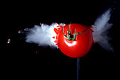 Bullet Hitting a Tomato