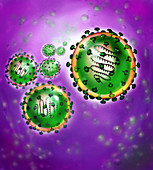Illustration of SARS virus
