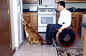 Disabled mans dog opens fridge door for him