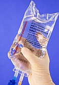 Gloved hand holding an intravenous drip bag