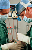 Surgeons performing plastic surgery