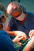 Rhinoplasty operation