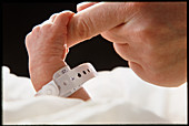 Newborn baby's hand instinctively grasping finger