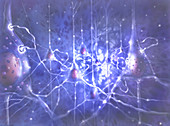 Illustration depicting pyramidal neurons