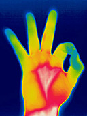 A thermogram of a hand giving the OK sign