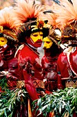 Male dancers from the Huli tribe,Papua New Guinea