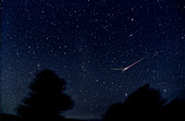 Leonid meteor