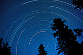 Star tracks in an evening sky