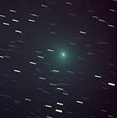 Comet Bernard