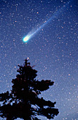 Comet Hyakutake,as seen from Earth on 26-3-96