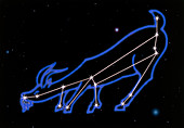 Artwork of the zodiacal constellation Capricornus