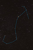 Scorpius Constellation