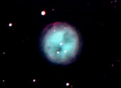The Owl Nebula (M97)