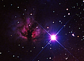 The Flame Nebula and Alnitak