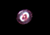 The Blue Snowball Planetary Nebula