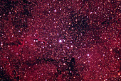IC1396 Cepheus Elelphant Trunk Nebula