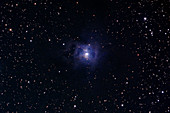Iris Nebula Complex