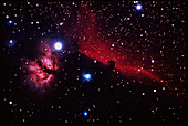 Horsehead Nebula
