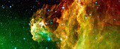 Young stars emerge from Orion's head