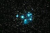 The Pleiades open cluster (Seven Sisters)
