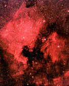 NGC7000 in the Constellation Cygnus