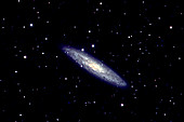 NGC253 Galaxy in Constellation Sculptor