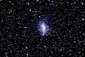 Dwarf Elliptical Galaxy