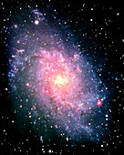 M33 in Triangulum (Pinwheel Galaxy)