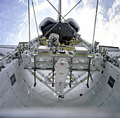 Assembling Structures in Endeavour's Payload Bay